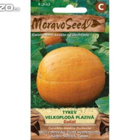 Tykev velkoplodá, plazivá -  Goliáš /www. rostliny- prozdravi. cz / 15306271