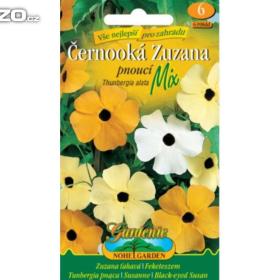 Černooká pnoucí, Zuzana (semena) www. levna- semena. cz / 15310930