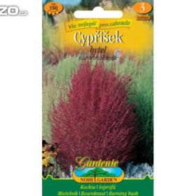 Cypřišek bytel, červený /www. rostliny- prozdravi. cz / 15367607