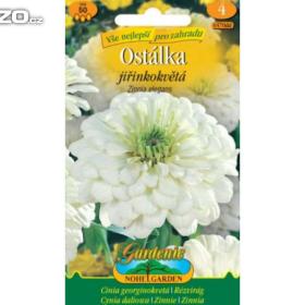 Ostálka jiřinkokvětá -  Bílá (semena) www. rostliny- prozdravi. cz / 15370693