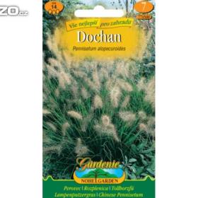 Dochan psárkovitý (semena) www. levna- semena. cz / 15371086