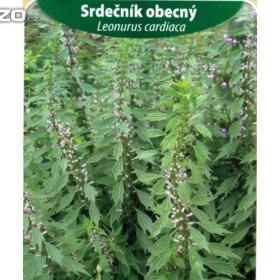 Srdečník obecný-  Léčivá rostlina (semena) www. rostliny- prozdravi. cz / 15447875