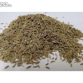 Ajwain -  koptský kmín (100g)-  www. rostliny- prozdravi. cz / 15452179