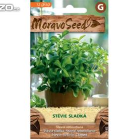 Stévie sladká -  Léčivá rostlina (semena) www. levna- semena. cz / 15520389