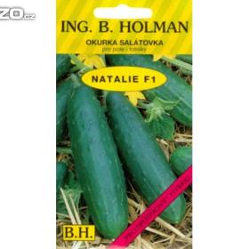 Okurka salátová -  Natálie /www. levna- semena. cz / 15521442