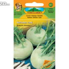 Kedluben raný (semena) levna- semena. cz / 15532981