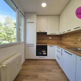 Prostorný byt 3+1 po kompletní rekonstrukci – Ostrava- Hrabůvka, ul. Holasova / 19940370