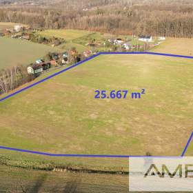 Prodej zemědělského pozemku, 25.667 m2 -  Petrovice u Karviné, Prstná / 19298197
