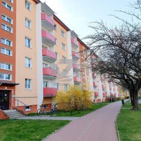 Prodej, byt 3+1, 65 m2, Uničov, ul. Hrdinů / 19408833