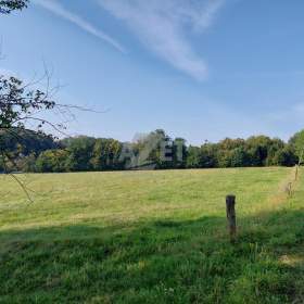 Prodej, zemědělská půda, 25075 m2 Mistřovice / 19655378