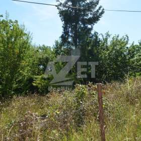 Foto inzerátu Prodej rodinného domu, 5+1, 696 m2, Obědné