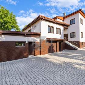 Prodej, rodinný dům 8+2, 420 m2, Velká Polom / 19960315