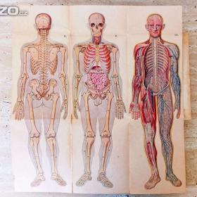 Foto inzerátu Nádherná dobová kniha Přírodní léčba a domácí lékař, rok 1923