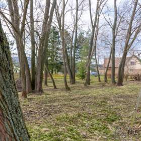 Foto inzerátu Prodej zahrady, Město Albrechtice