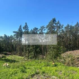 Prodej lesa 27933 m² Nebužely / 19412230