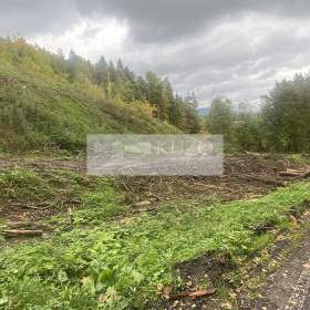 Prodej lesa 17012 m² Český Dub / 19412231