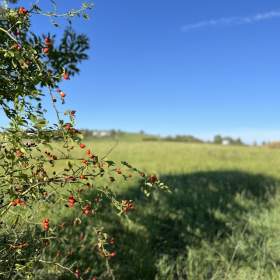 Fotka k inzerátu Prodej stavebního pozemku v Příboře -  Hájov / 18949245
