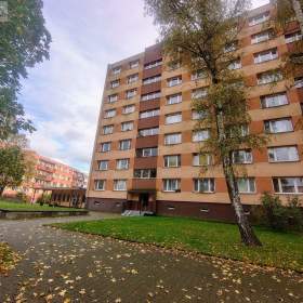 Pronájem prostorného bytu 1+1 na ul. Mozartova Frýdek- Místek / 19531940
