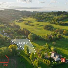 Prodej pozemky pro bydlení, 6 545 m2 -  Stružinec -  Tuhaň / 19267364