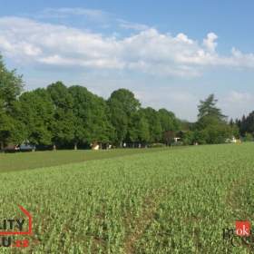 Prodej pozemky pro bydlení, 4 121 m2 -  Nové Dvory / 19298858