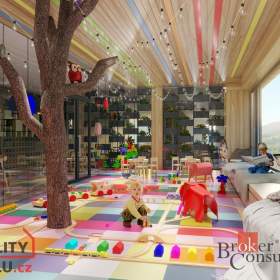 Prodej byty 1+kk, 31 m² - Černý Důl / 19345730