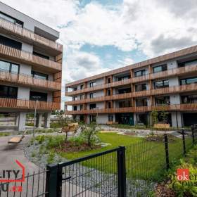 Pronájem byty 1+kk, 35 m2 -  Plzeň -  Východní Předměstí / 19387564