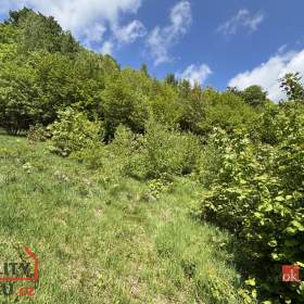 Prodej pozemky pro bydlení, 1 161 m2 -  Janov nad Nisou -  Hraničná / 19391526