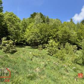 Prodej pozemky pro bydlení, 1 161 m2 -  Janov nad Nisou -  Hraničná / 19391526