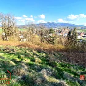 Prodej pozemky pro bydlení, 9 446 m2 -  Janovice / 19403357