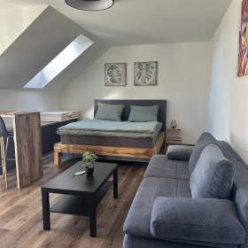 Prodej byty 1+kk, 52 m2 -  Vrbno pod Pradědem / 19409472