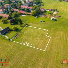 Prodej pozemky pro bydlení, 1 250 m2 -  Horní Ředice / 19426222