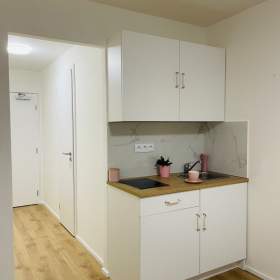 Pronájem byty 1+kk, 24 m2 -  Praha -  Chodov / 19433242