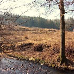Prodej pozemky pro bydlení, 22 894 m2 -  Janská / 19438569