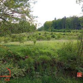 Prodej pozemky pro bydlení, 22 894 m2 -  Janská / 19438569