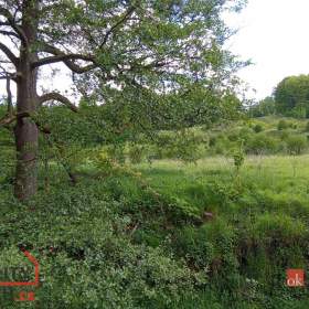 Foto inzerátu Prodej pozemky pro bydlení, 22 894 m² - Janská