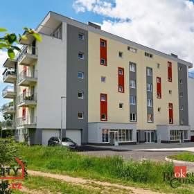 Prodej byty 1+1, 39 m2 -  Nová Role / 19451057