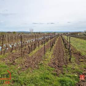 Prodej ostatní pozemky, 1 280 m2 -  Prušánky / 19453130