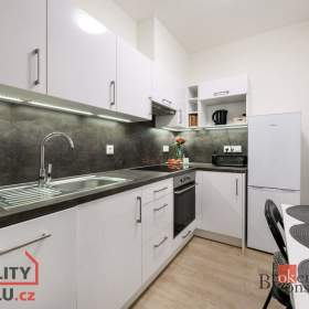 Pronájem byty 1+kk, 42 m2 -  Plzeň -  Jižní Předměstí / 19454958