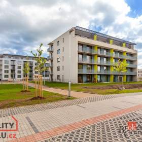 Pronájem byty 1+kk, 27 m2 -  Chrudim IV / 19458081
