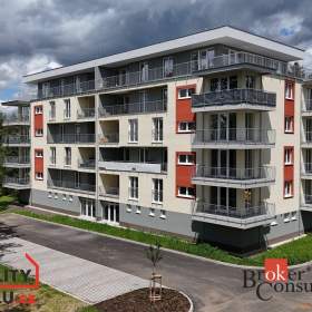 Prodej byty 1+kk, 39 m² -  Nová Role / 19459948