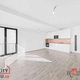 Pronájem byty 1+kk, 41 m2 -  Plzeň -  Jižní Předměstí / 19467191