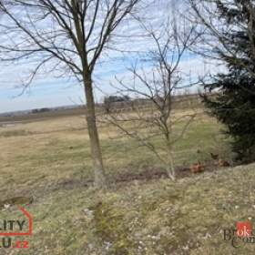 Prodej pozemky pro bydlení, 3 221 m2 -  Olešenka / 19474095