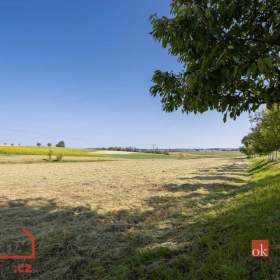 Prodej pozemky pro bydlení, 3 221 m2 -  Olešenka / 19474095