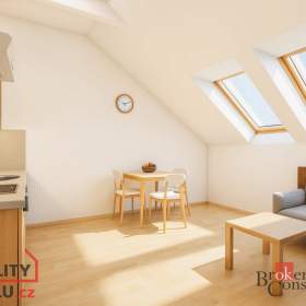 Prodej byty 1+kk, 22 m2 -  Brno -  Zábrdovice / 19479993
