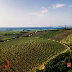 Foto inzerátu Prodej ostatní pozemky, 256 256 m2 -