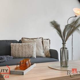 Foto inzerátu Prodej byty 3+1, 58 m² -