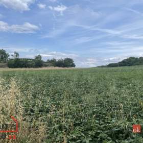 Prodej pozemky pro bydlení, 788 m² -  / 19524380