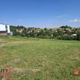 Prodej louky 1 352 m2, Těškovice / 19531586