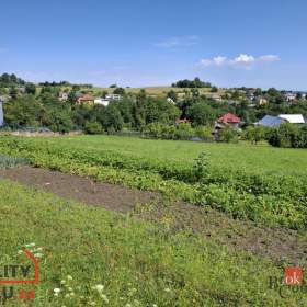 Foto inzerátu Prodej louky 1 352 m², Těškovice