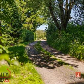 Foto inzerátu Prodej stavebního pozemku 1 400 m², Říčky v Orlických horách